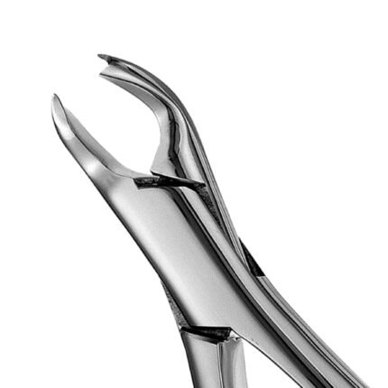 089 cook upper molars right #89
